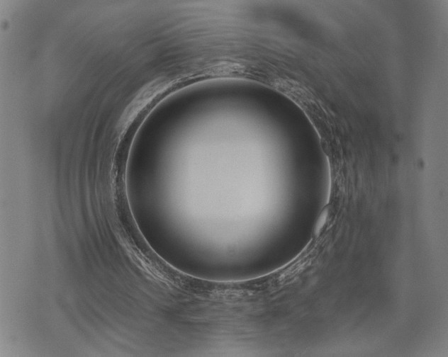 X0000071840242200606301319