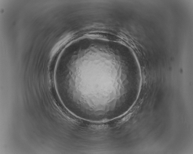 X0000071840245200606301319