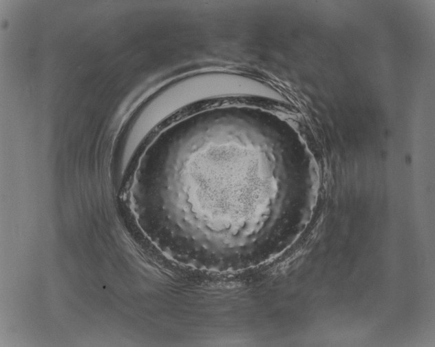 X0000071840247200606301319