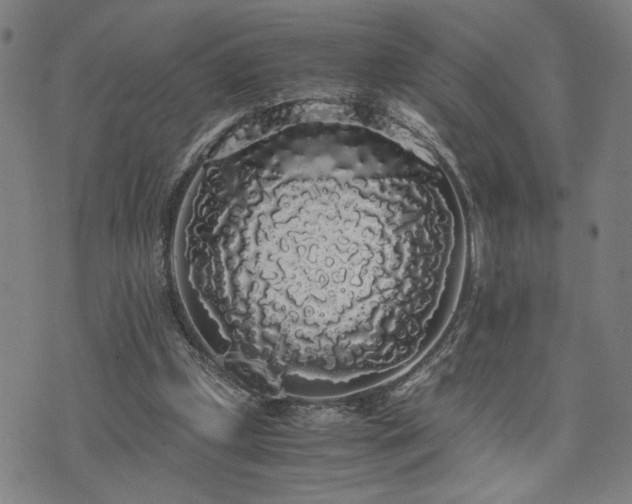 X0000071840249200606301319