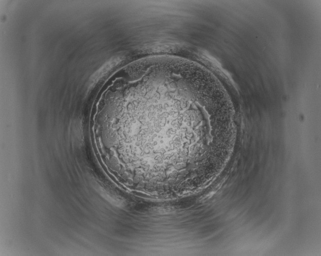 X0000071840250200606301319