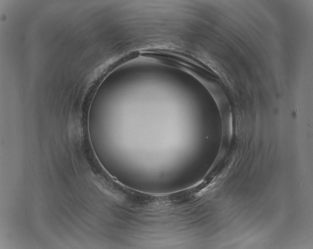 X0000071840252200606301319