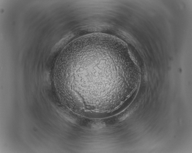 X0000071840258200606301319