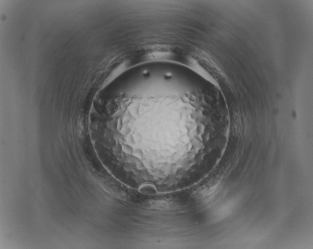 X0000071840259200606301320