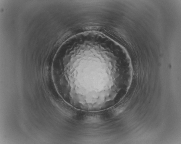 X0000071840263200606301320