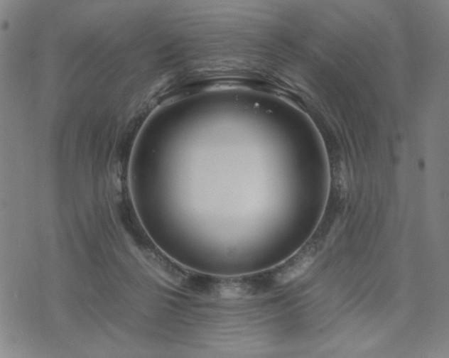 X0000071840264200606301320
