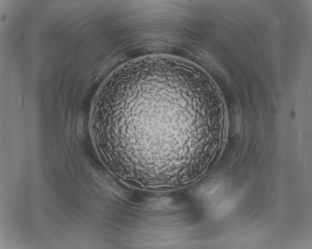 X0000071840266200606301320