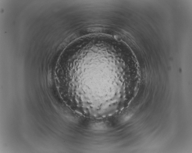 X0000071840267200606301320