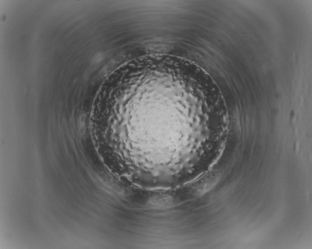X0000071840271200606301320