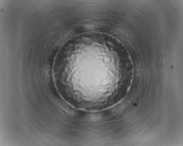 X0000071840275200606301320