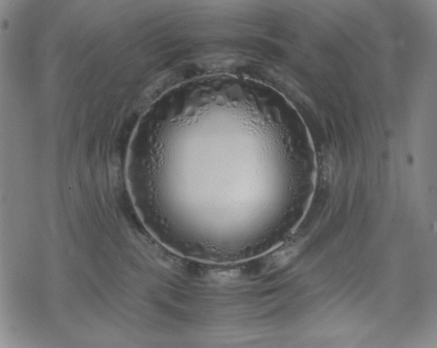 X0000071840283200606301320