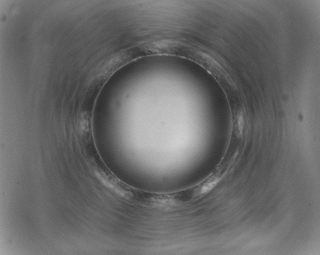 X0000071840284200606301320