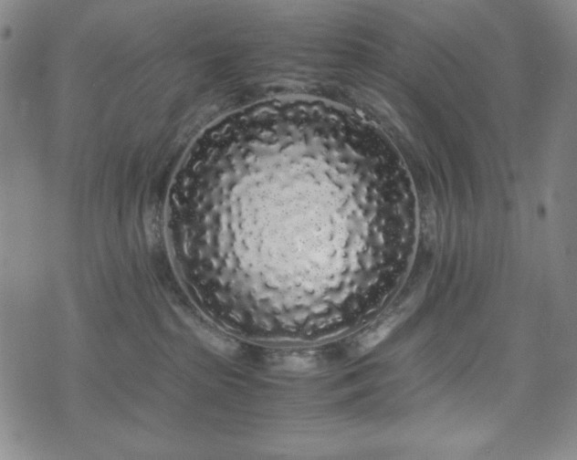 X0000071840285200606301320