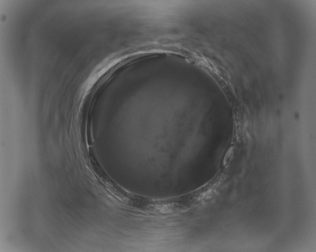 X0000071840295200606301319
