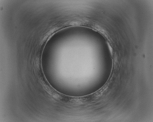 X0000071840297200606301319