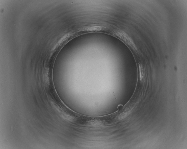 X0000071840300200606301319