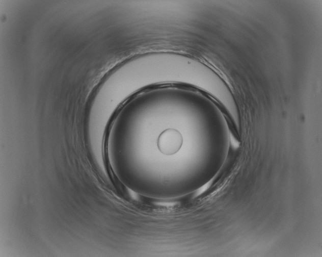 X0000071840301200606301319