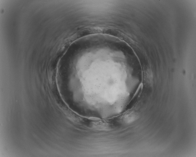 X0000071840331200606301319