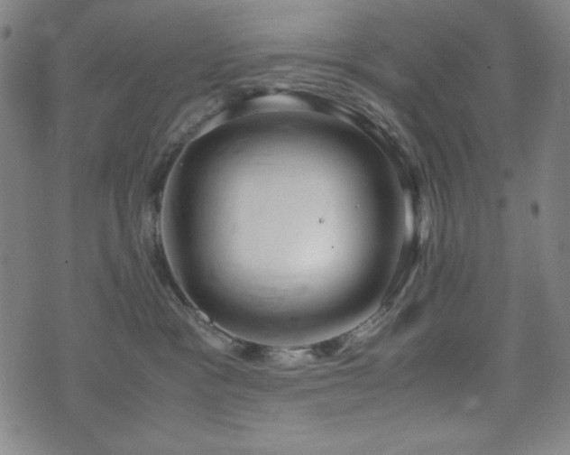 X0000071840333200606301318