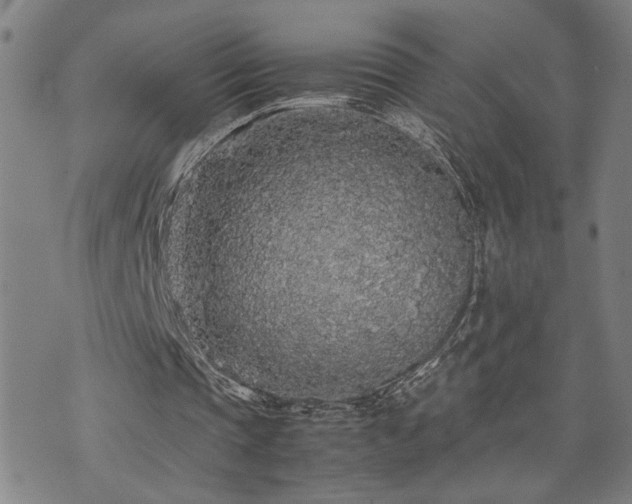 X0000071840337200606301318