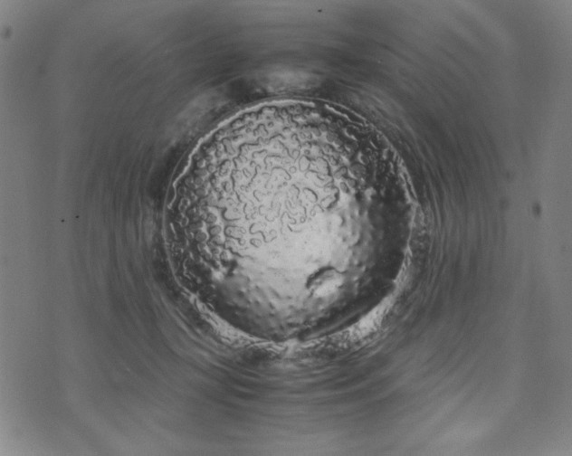 X0000071840367200606301318