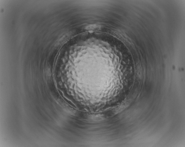 X0000071840375200606301318