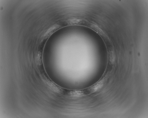 X0000071840378200606301318