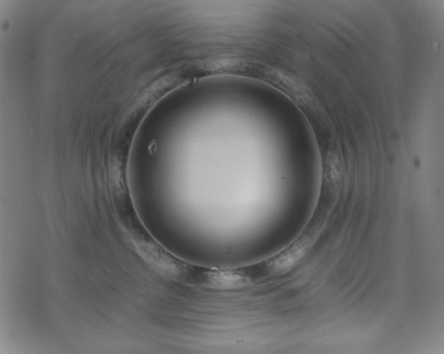 X0000071840380200606301318