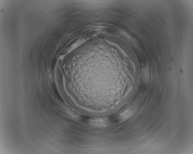 X0000071840381200606301318