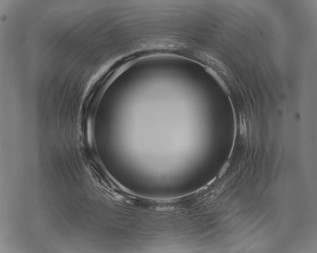X0000071840388200606301318