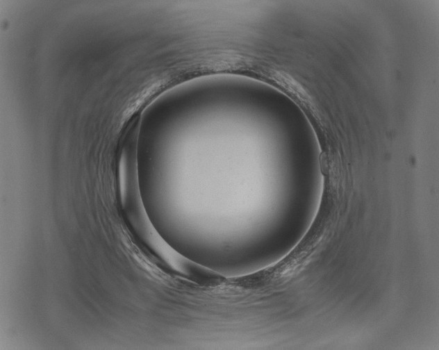 X0000071840393200606301318