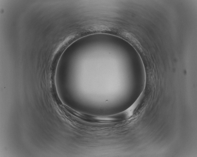 X0000071840395200606301317