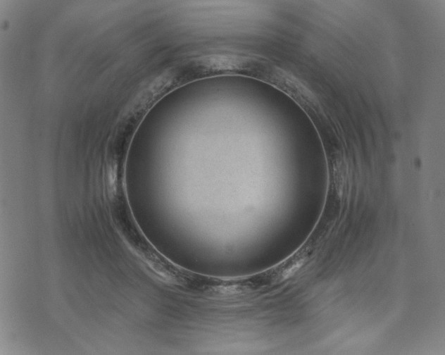 X0000071840406200606301317