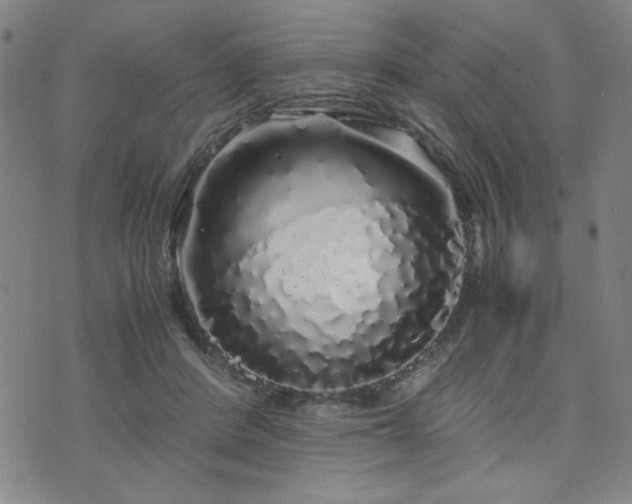 X0000071840408200606301317