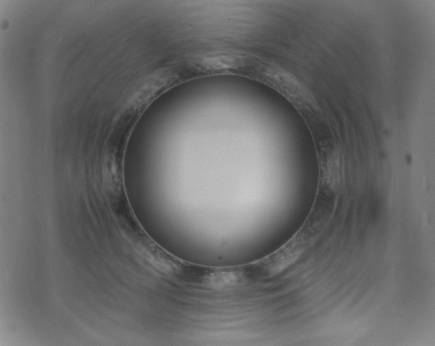 X0000071840418200606301317