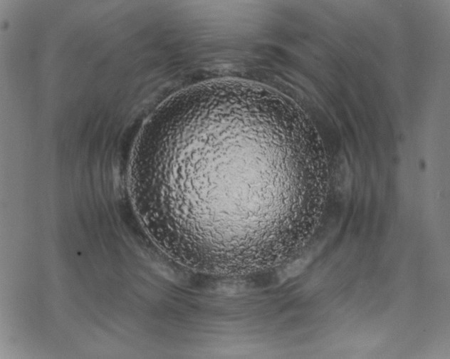 X0000071840420200606301317