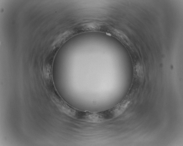 X0000071840423200606301317