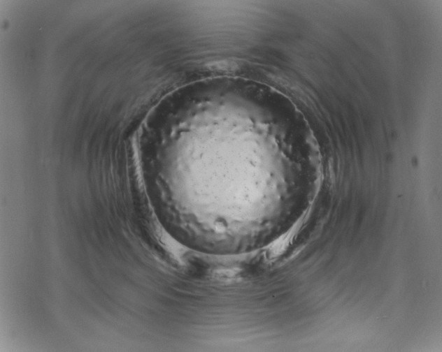 X0000071840424200606301317