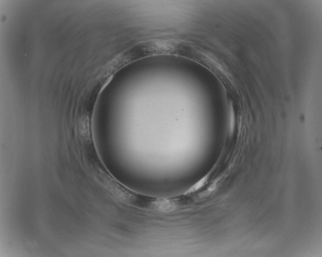 X0000071840425200606301317