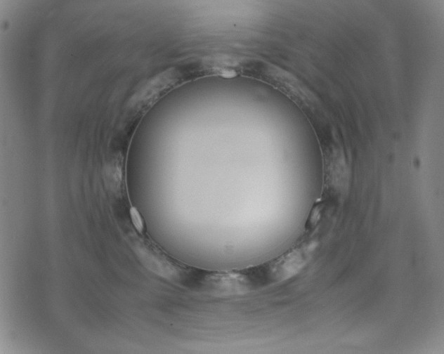 X0000071840427200606301317