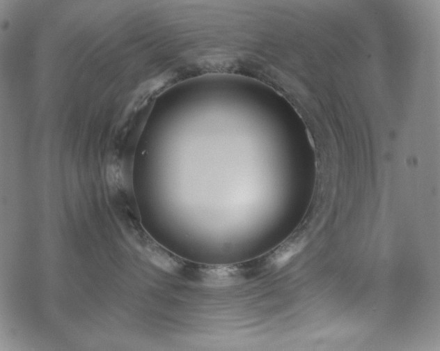 X0000071840432200606301317