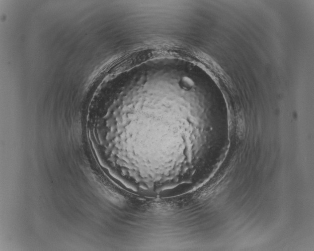 X0000071840442200606301316