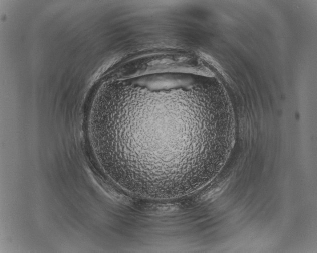 X0000071840443200606301316