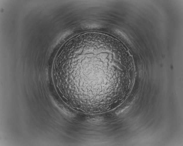 X0000071840447200606301316