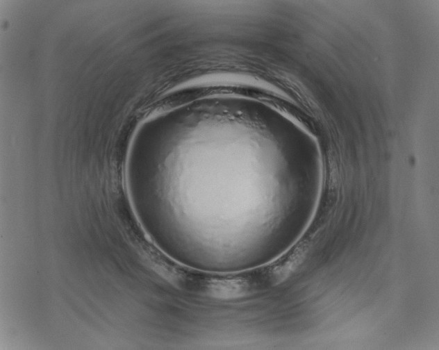 X0000071840457200606301316
