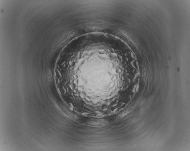 X0000071840459200606301317