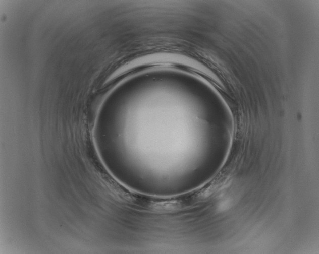 X0000071840461200606301317