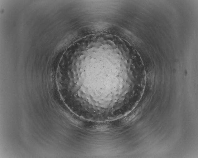 X0000071840462200606301317