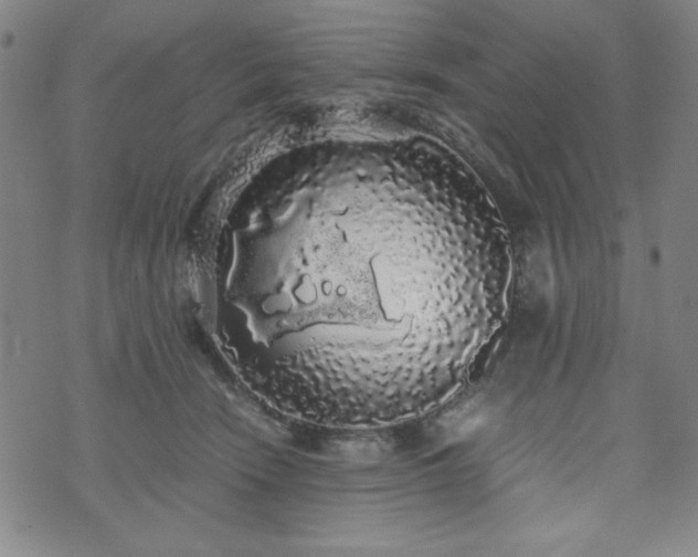 X0000071840466200606301317