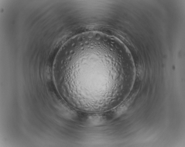 X0000071840470200606301317